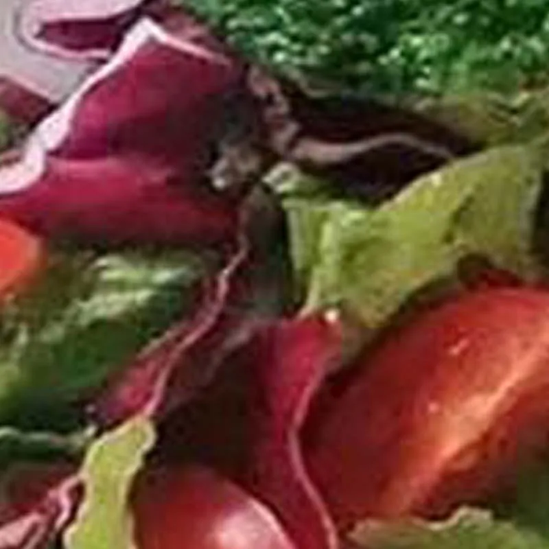 

Многофункциональная коммерческая мясорезка для нарезки свежего мяса и овощей, из нержавеющей стали, для нарезки тонкими ломтиками