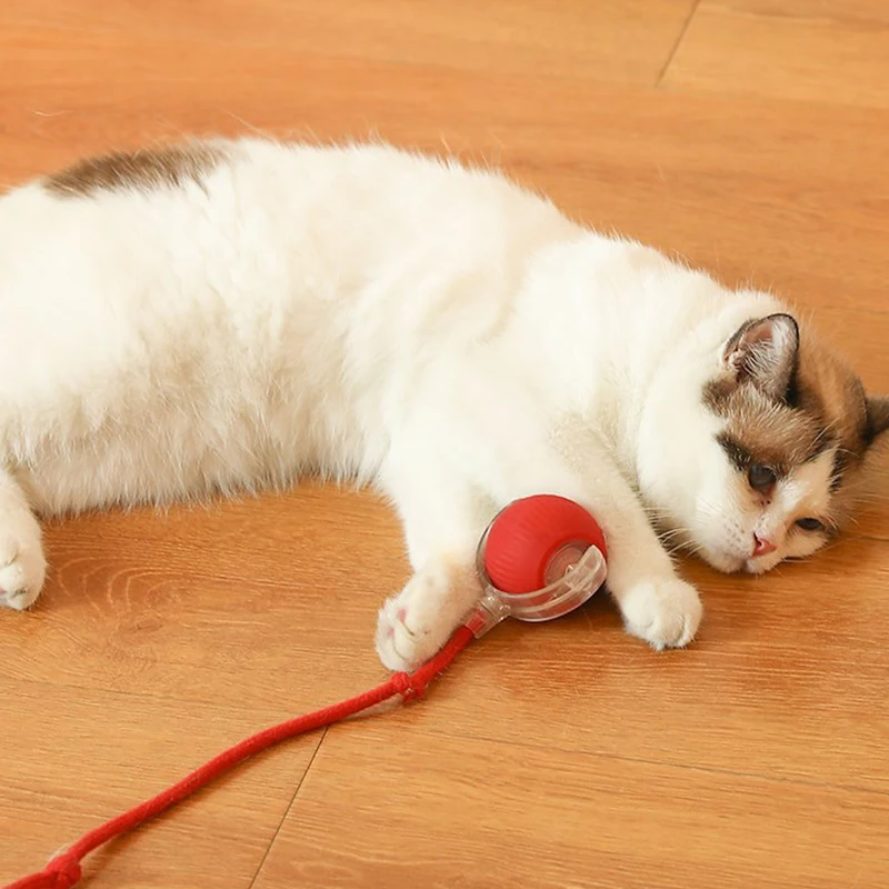 Pelotas automáticas resistentes a mordeduras para gatos, pelotas de juguete para gatos, pelota para saltar con cuerda, suministros para mascotas