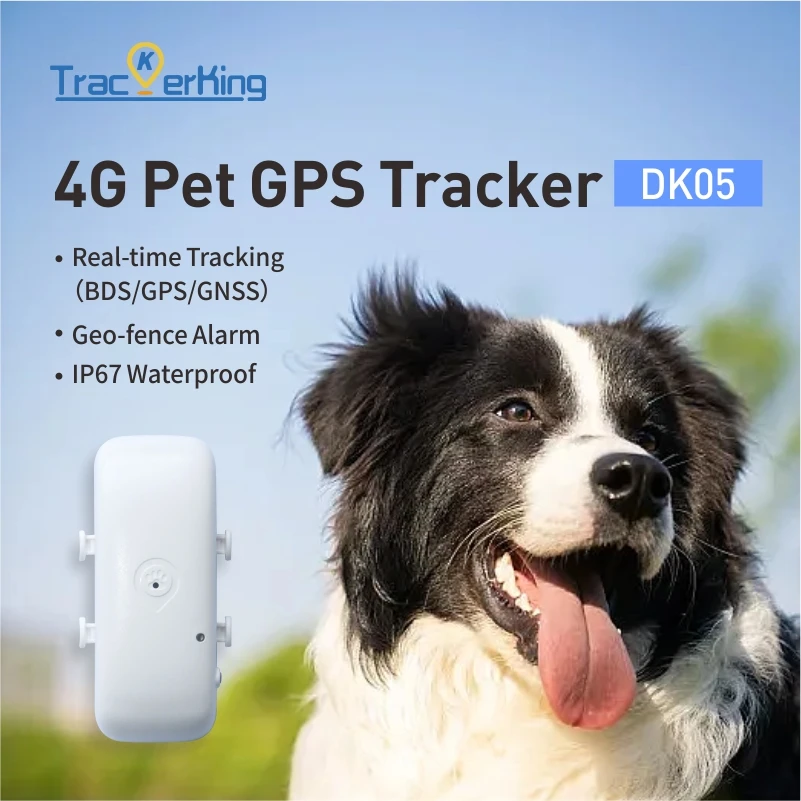 TrackerKing 4G GPS Tracker Pet GPRS Locator Best Mini Tracking Device TK911 For Dog Cat With Free APP Waterproof IP67 Collar