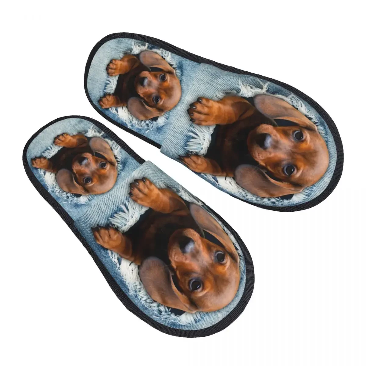 Chaussons en mousse à memoria forme pour femme, chien teckel personalizado, jean déchiré, éraflure confortable, saucisse Wiene