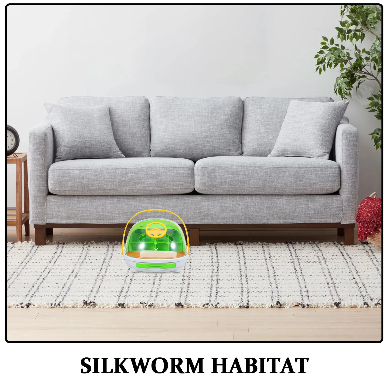 Silkworm Rearing Container Educational Insect Habitat Observation Hatching Cage for Classroom Learning