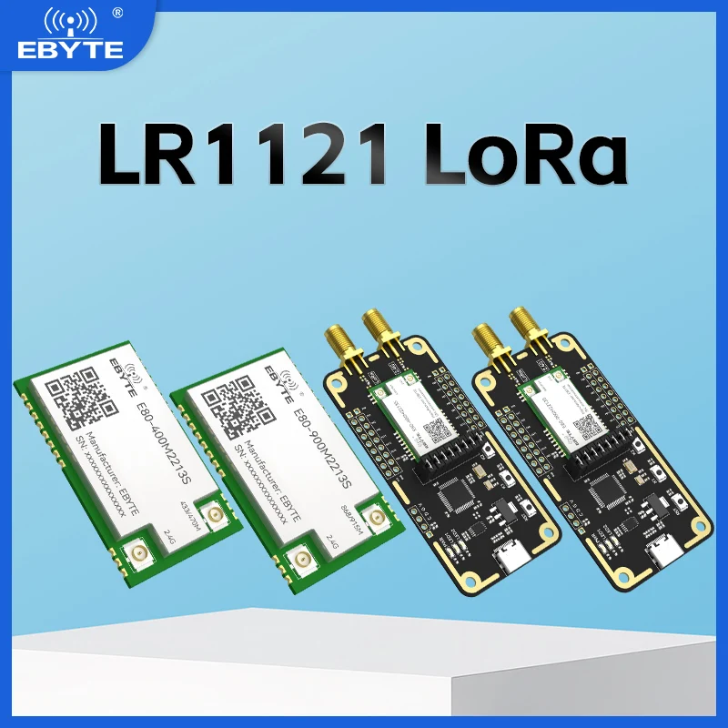 LR1121 LoRa Wireless Module EBYTE E80-400M/900M2213S Dual-Band Sub-G 433/868/915/2.4G SMD TCXO Stamp Hole SPI RF Module