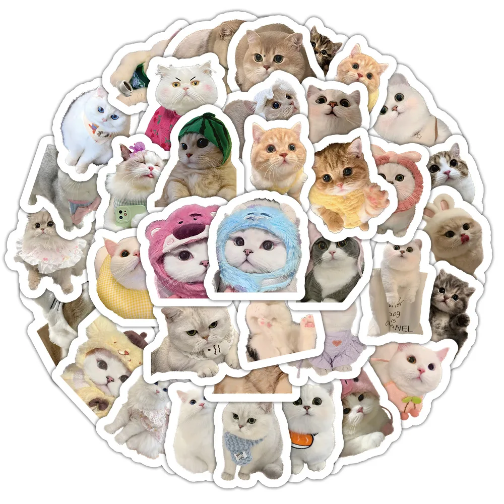 10/30/50/100PCS Internet Celebrity Cat Stickers Cute Animal Meme Decals Funny Graffiti Kids Toys Luggage Laptop Guitar Car Bike
