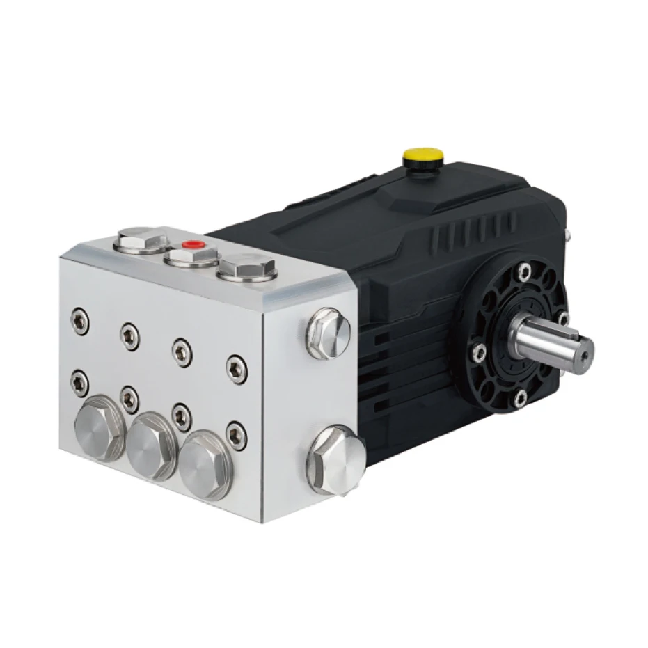 

High Pressure Stainless Steel Industry Triplex Plunger Pump for Sea Water Desalination 100bar 250bar