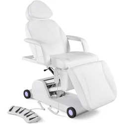 Facial Bed for Esthetician 110V Removable Massage Table Led Light Beauty Bed Medical Aesthetic Tattoo Chair with Adjustments