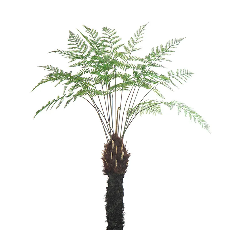 

Large New Zealand silver fern simulated tree landscape window floor decoration green plant landscaping