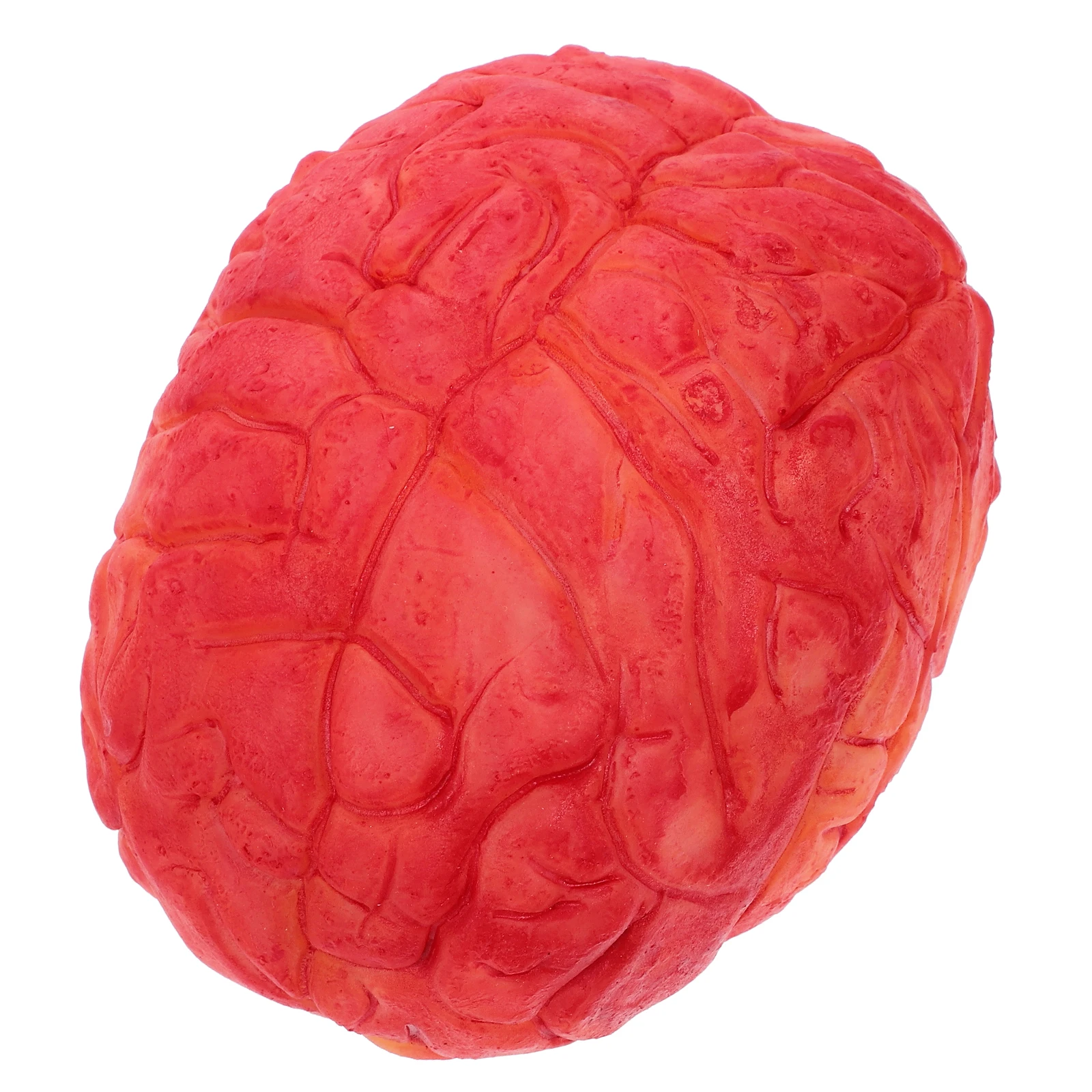 

Simulated Brain Props Halloween Scary to Squeeze Decorate Body Parts Vinyl Party Decoration Human