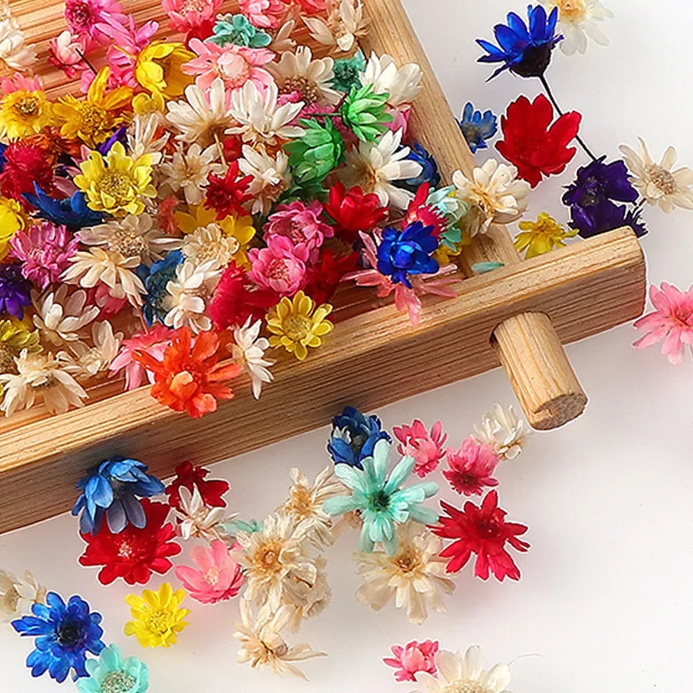 Multicolor Mini Dried Flowers Diy Art Craft Epoxy Resin Candle Making Jewellery Home Party Decorative 100Pcs/Bag