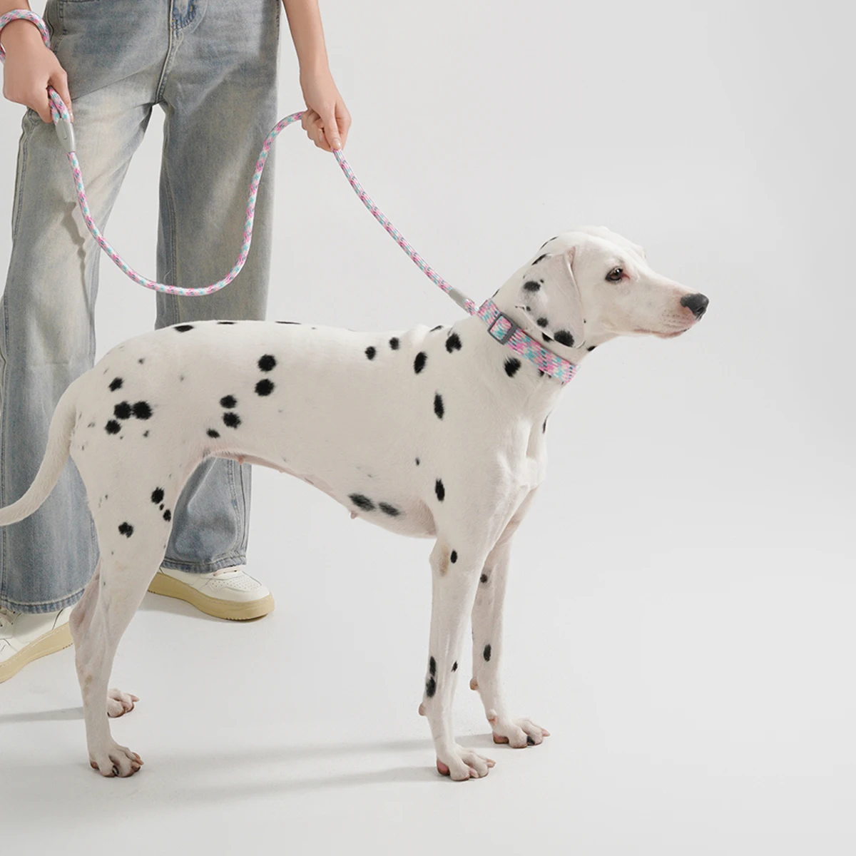 Leinen- und Halsband-Set für kleine, mittelgroße und große Hunde, Haustier, französische Bulldogge, Chihuahua, Mops, Outdoor-Walking, Leinenhalsband, Leinenzubehör – Detail 10