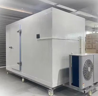 Contenitore per congelatore per celle frigorifere per pollo, contenitore per congelamento, stanza per attrezzature refrigerata