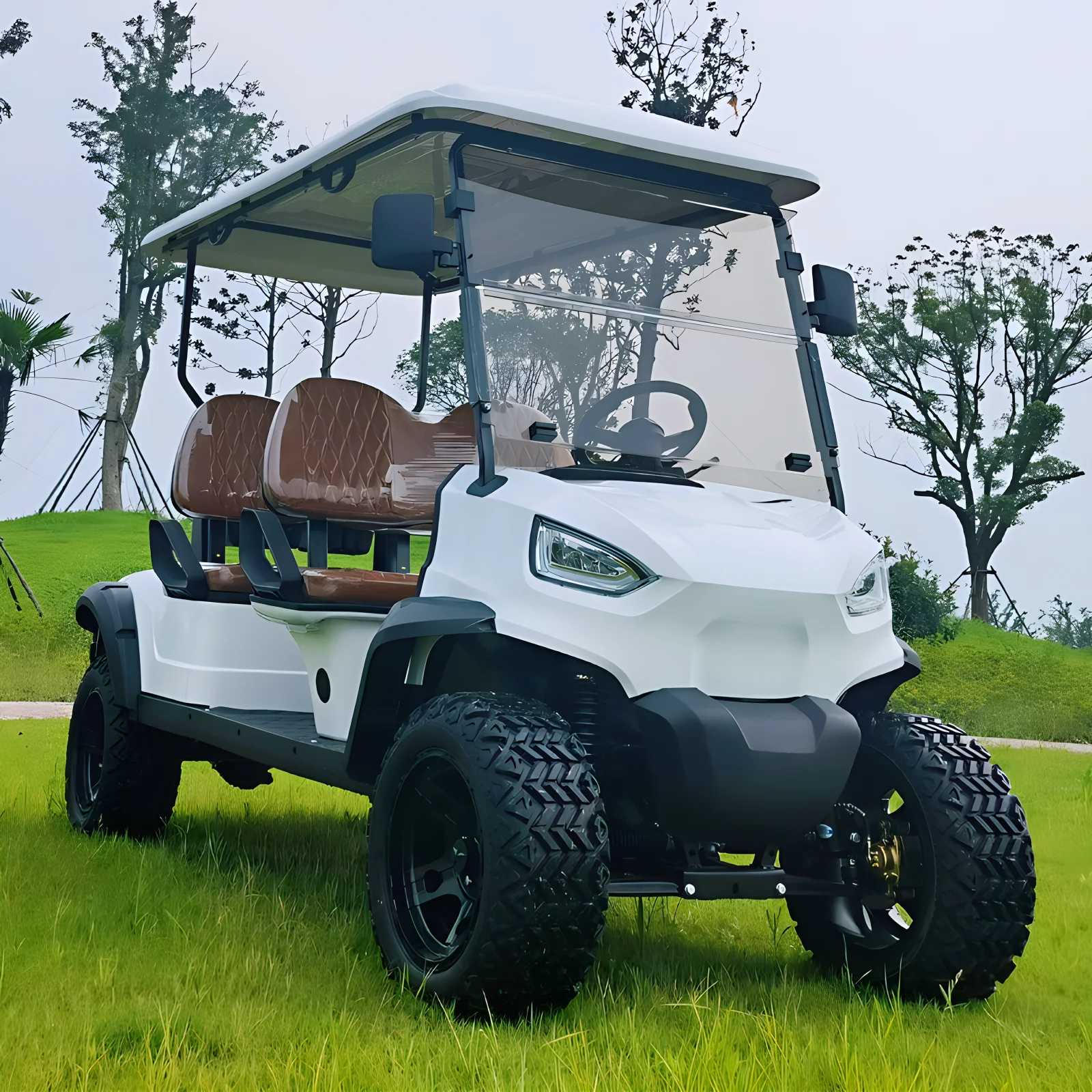

Factory direct sales electric sightseeing car Cheap Electric 6 Seater Golf Carts 36V Lithium Battery Golf Cart