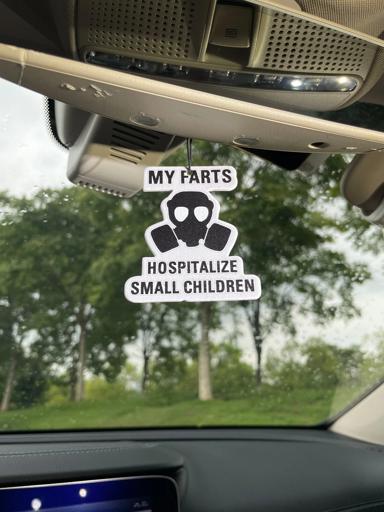 Profumo per Auto My Farts Hosp - Perfume Fragrance Types recensione e prezzo
