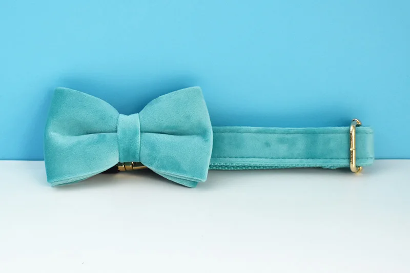 Türkisfarbenes Samt-Hundehalsband und Leinen-Set für Hunde, individuell graviertes Namensschild, Haustierbedarf, Hundeleine, Samt, 40 – Detail 7