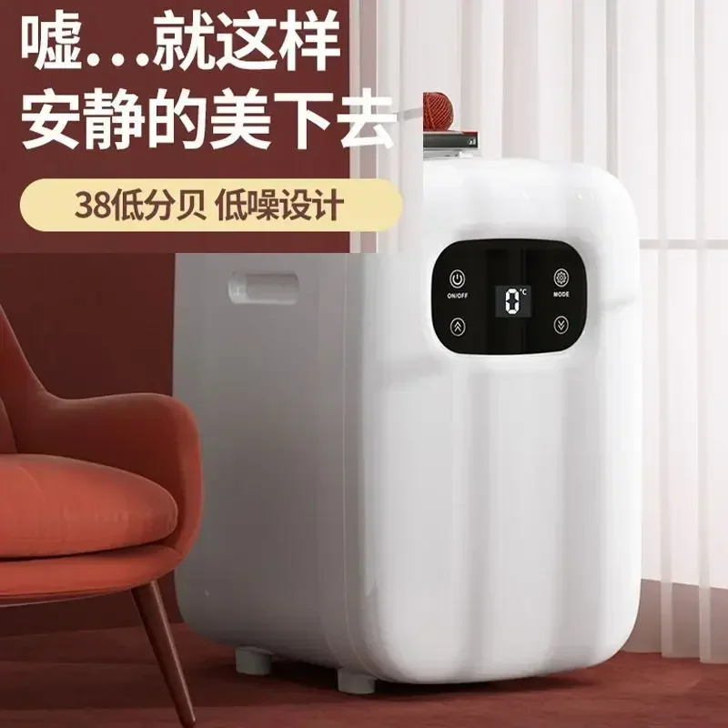 Small Refrigerator - 220V/12V. For car, rental house, office. 20L capacity. Preserves facial masks, fruits and vegetables