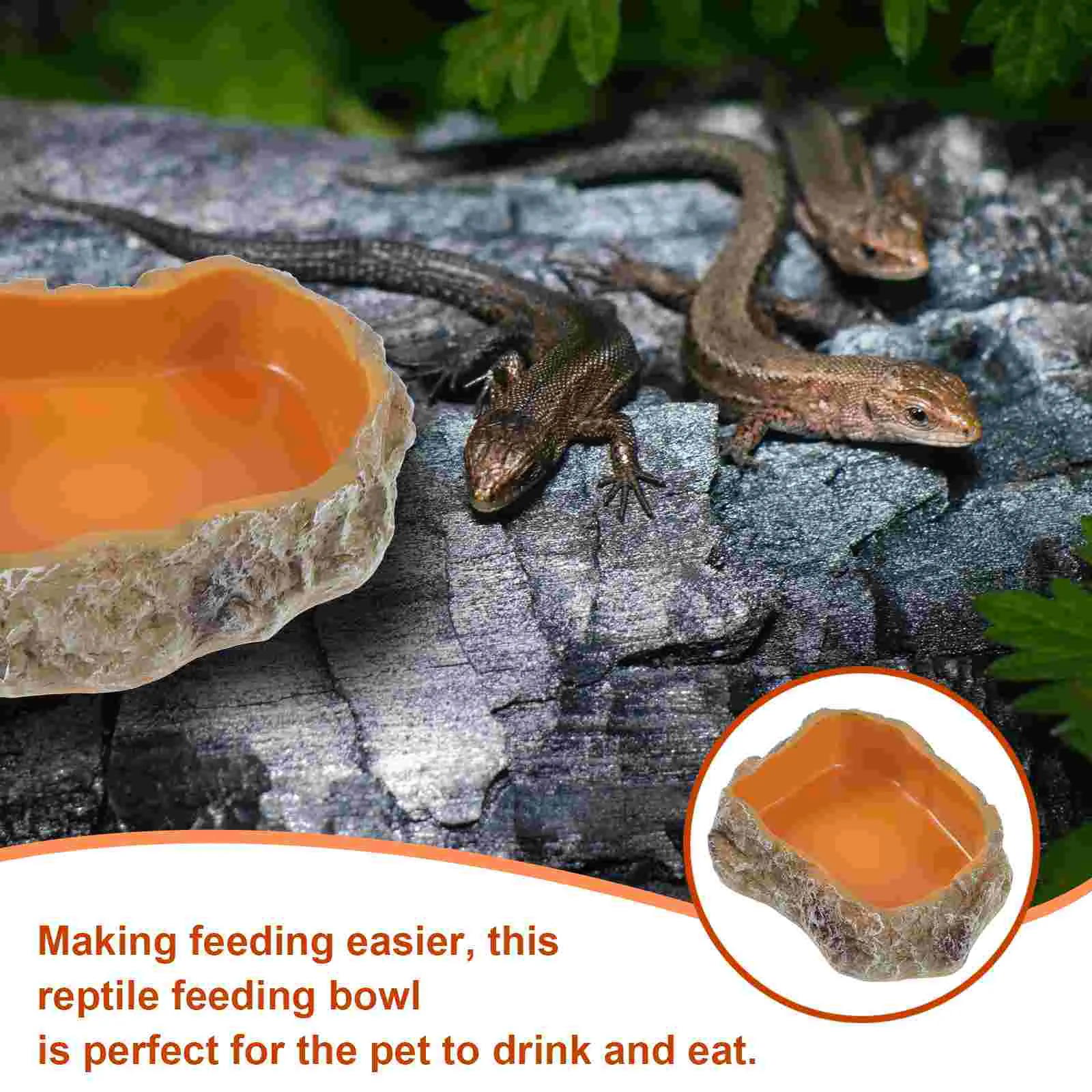 Glass Pet Feeding Bowl Turtle Water Resin Amphibians Mealworm Reptile Food Dish