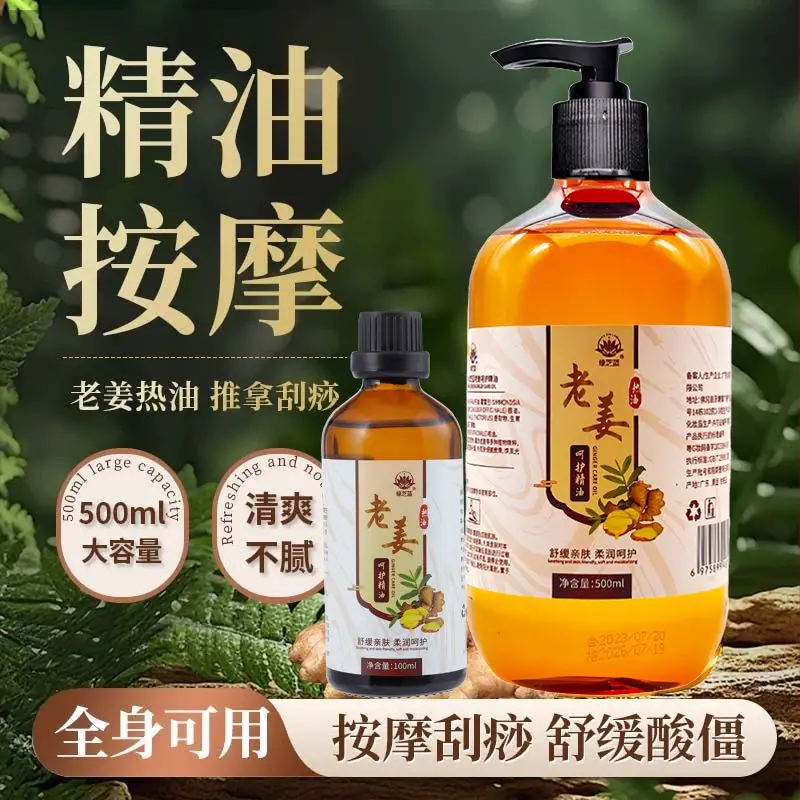 Minyak Pijat Jahe & Mugwort, Untuk Meridian Tubuh & Gua Sha, Perawatan Hangat, SPA
