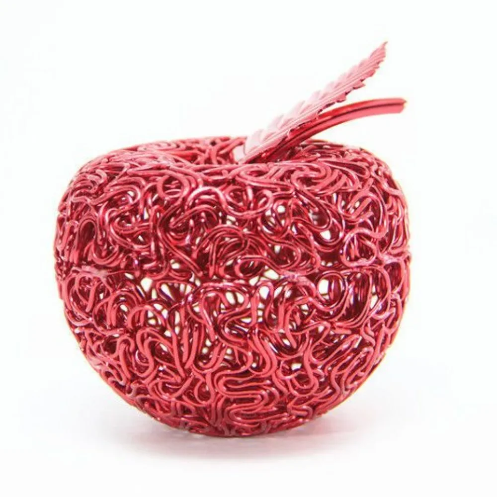 

Unopened little apple, aluminum wire, gift to girlfriend on Christmas Eve, metal wire, diy model, purely handmade