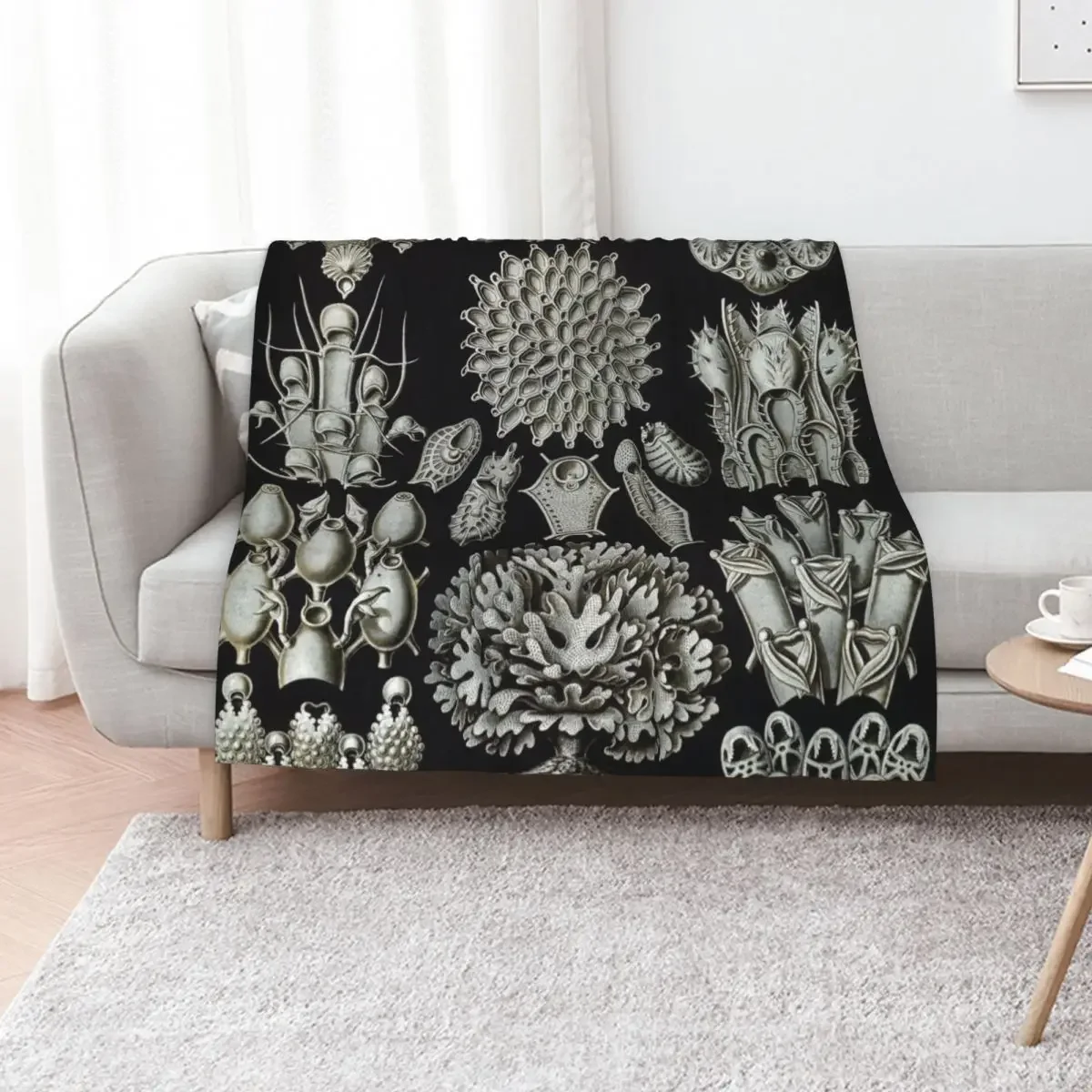 

Haeckel Bryozoa 33 Drawing Throw Blanket Designers Summer Thins Luxury St Blankets