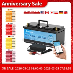 KEPWORTH 12V 120Ah LiFePO4 Lithium Iron Phosphate Battery Deep Cycle Rechargeable Battery with Built-in BMS, 6000+ Life Cycles