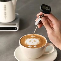 Electronic Instant Read Digital Thermometer Accurate with Clip Coffee Thermometer Professional Large Screen Food Probe Camping