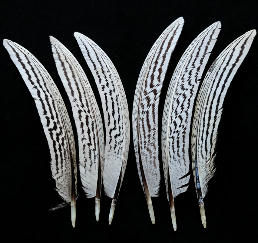 

50 шт./лот! Натуральные изогнутые перья серебряного фазана 13-15 см (5-6 дюймов) для изготовления украшений, аксессуары для рукоделия и DIY-проектов