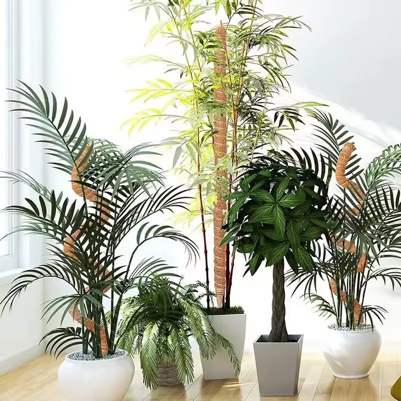 Moss Pole for Plants Monstera Plant Support Stakes for Climbing Indoor Plants Garden Trellis Plant Stick for Potted Plants