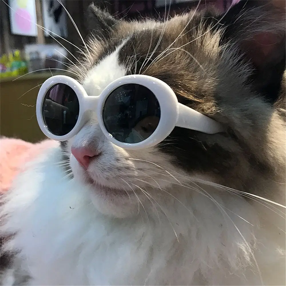 Fashioning Cat Glasses Round Frames Glasses Multicolor Photograph Props Pet Accessories Doll Accessories