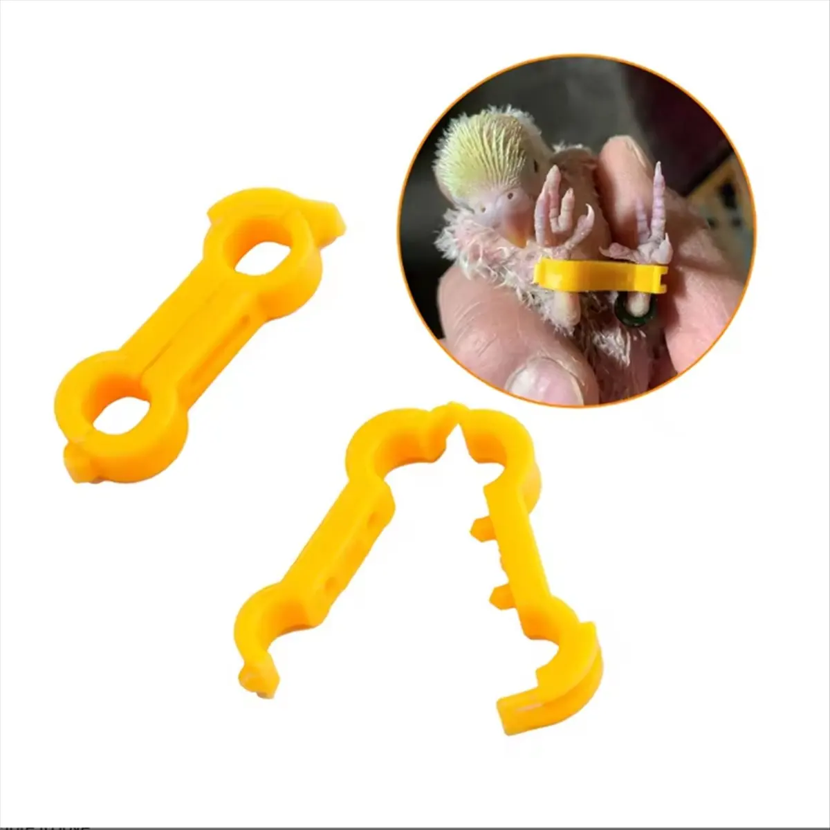 A22I 12Pcs 4mm Pediatric Bird Leg Corrector Nestling Leg Splint Rutin Budgie Cockatiel Baby Bird Splayed Leg Correction