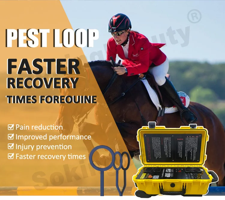Professional Pemf Equine Horse Magnetic Therapy PEMF Loop Horse Pain Relief Physical Electromagnetic Field Therapy Machine