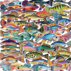 50PCS Fishing Stickers Waterproof Skateboard Motorcycle Guitar Luggage Laptop Bicycle Fish Sticker Kids Toys