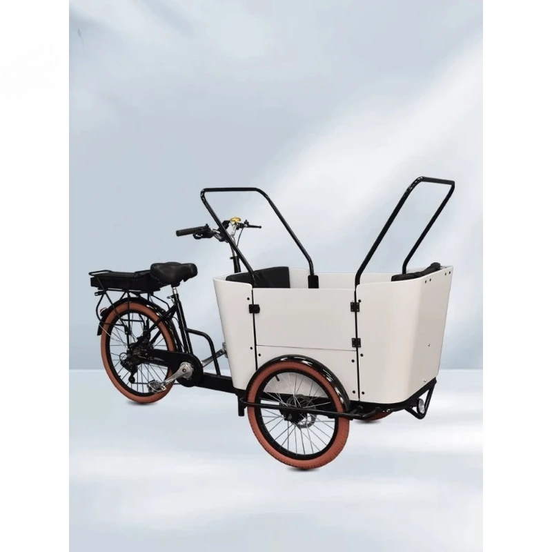 Minimalist European Style Reverse Tricycle Parent  Child Outing Vehicle Electric  Powered School Transfer