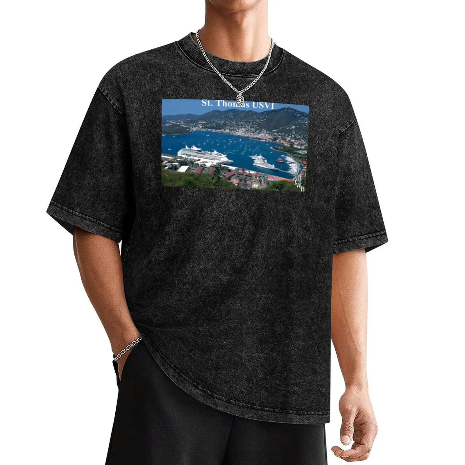 

Picture I Took From the Top of the Lookout T-Shirt graphic tee shirt new edition kawaii clothes oversized outfits for men