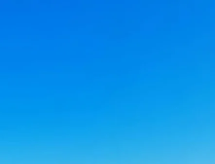 

Out of stock Do not purchase sorry