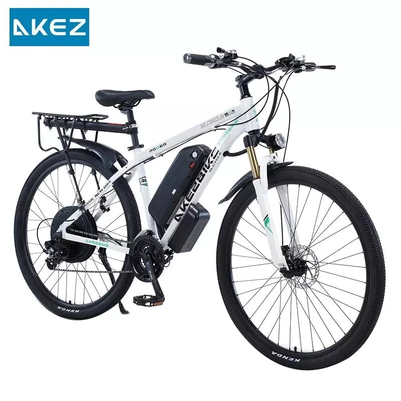 EU Stock 29 Inch Powerful Electric Booster Bicycle Mountain For Adults 1000W Off Road Electric Bike For Long Distance 21 Speed