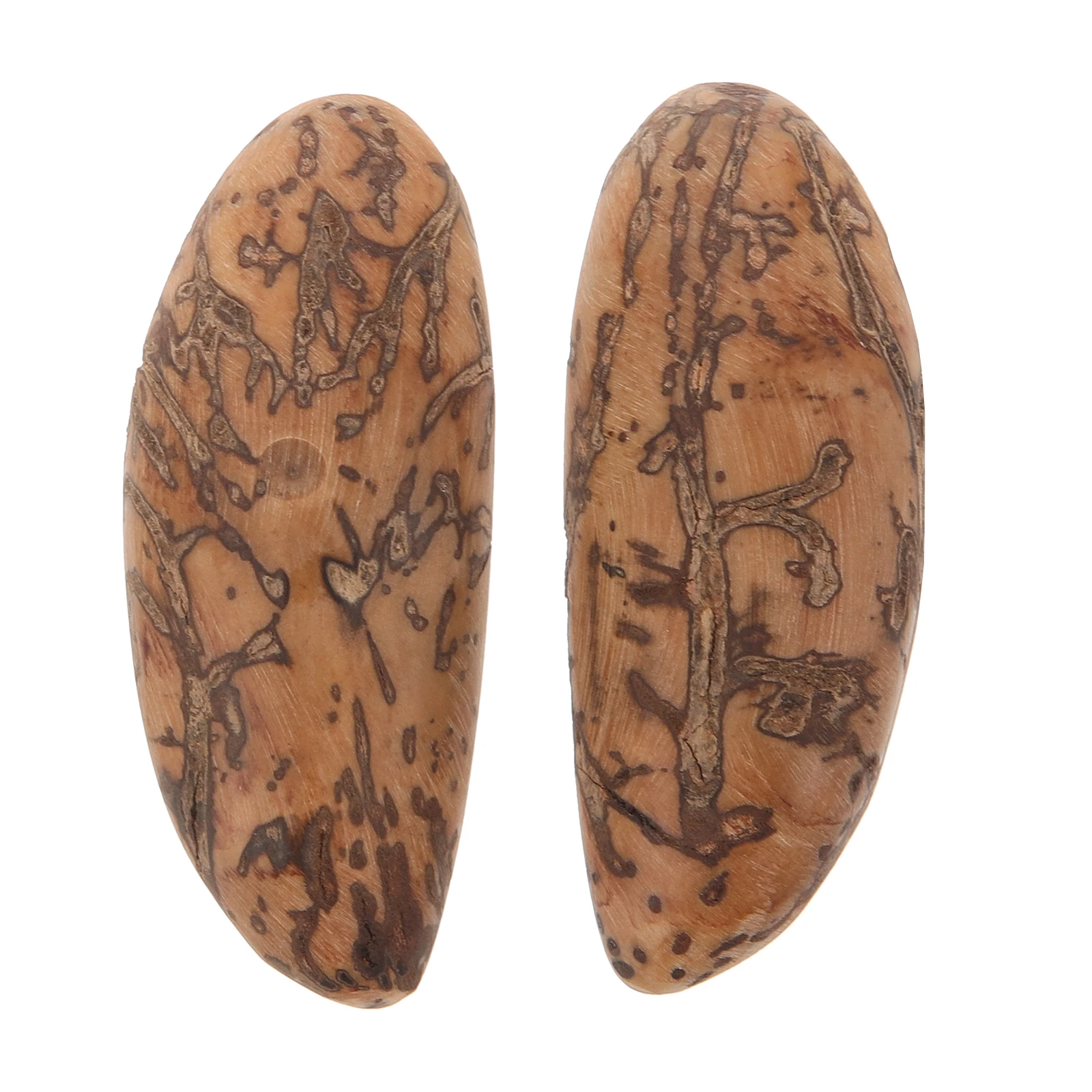 

Bodhi Fruit Divination Cup Sturdy Unique Meaning Portable Supplies Home Ornaments Practical Design Content