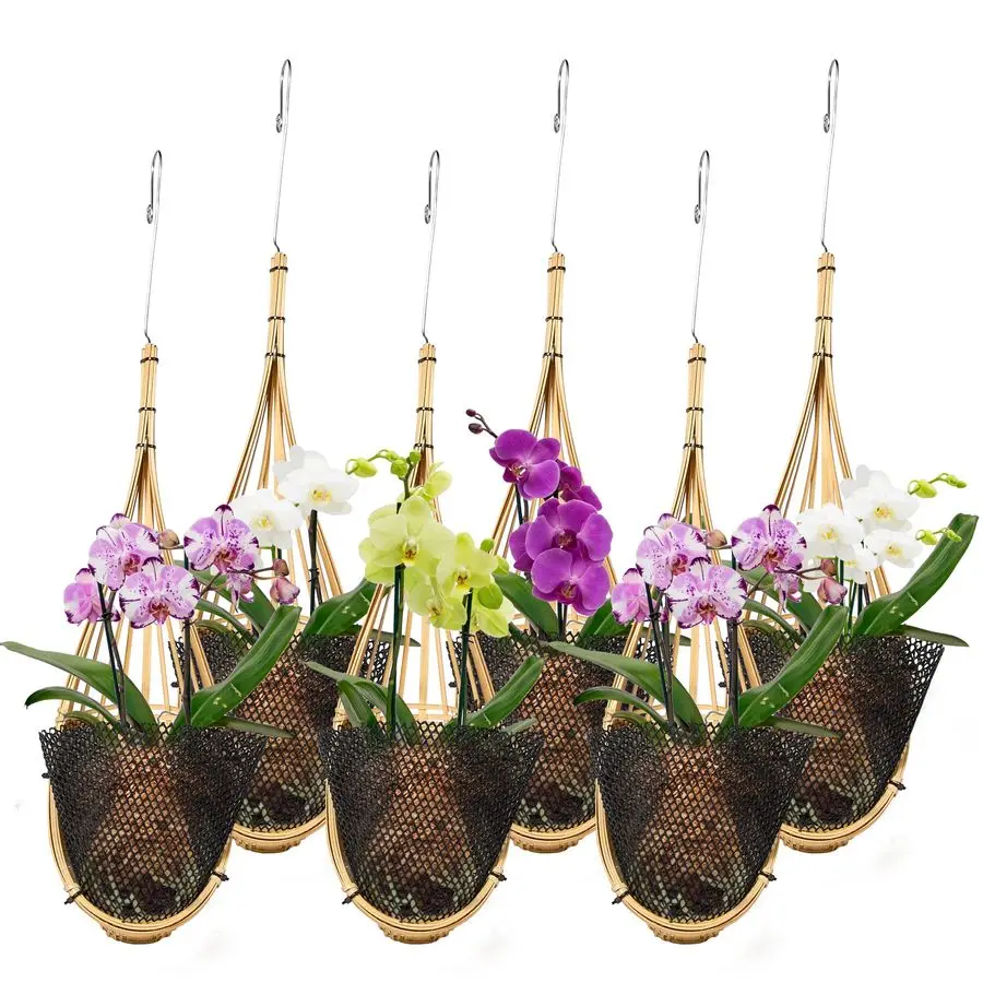 

Orchid Hanging Planter 5 Inch 6 Pack with Bird Nest Style Plant Hangers, Handmade Thai Bamboo Woven Hanging Orchid Basket for Tr