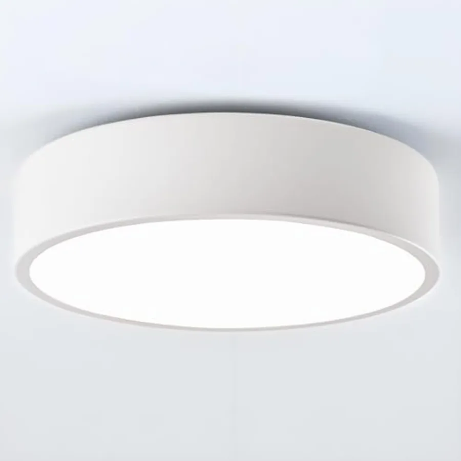 

Modern Flush Mount Ceiling Light 2-Lights Round Ceiling Light Minimalistic Ceiling Lamp Acrylic Shade Lighting Fixture for Bedr