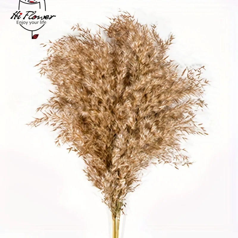 10/20Pcs Natural Dried Flower Fluffy Pampas Grass Bouquets Boho Home Decor Artificial Flowers Whisk Autumn Christmas Decoration