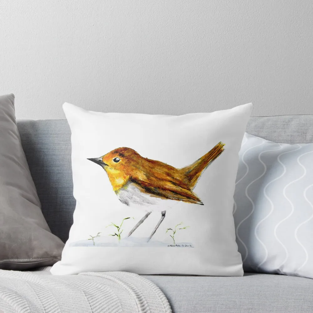 Bird in the snow Throw Pillow Decorative Cushion Cover Luxury Pillow Case Plaid Sofa Decorative pillow case