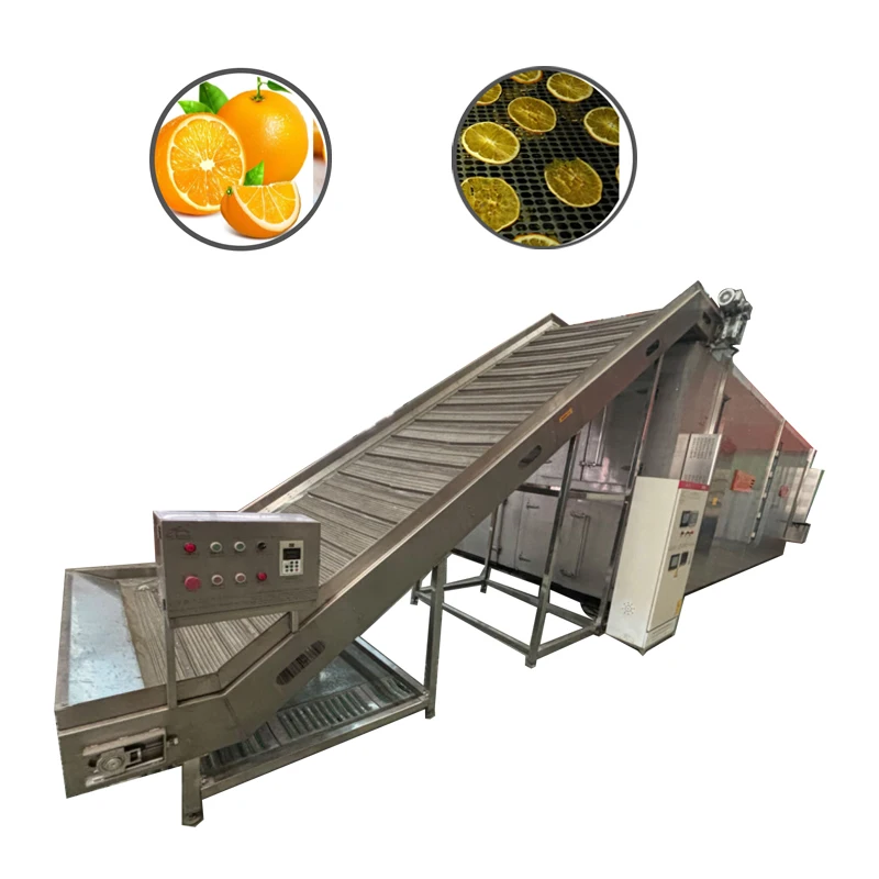 Hot Air Dryer Machine Biltong Food Dryer Dehydrator Commercial Drying Machine