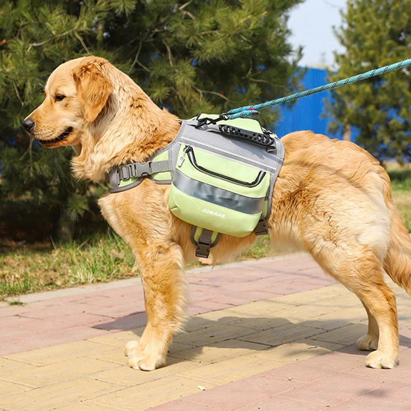 Thumbnail 4 - #77 Best Dog Backpacks to Buy In 2026