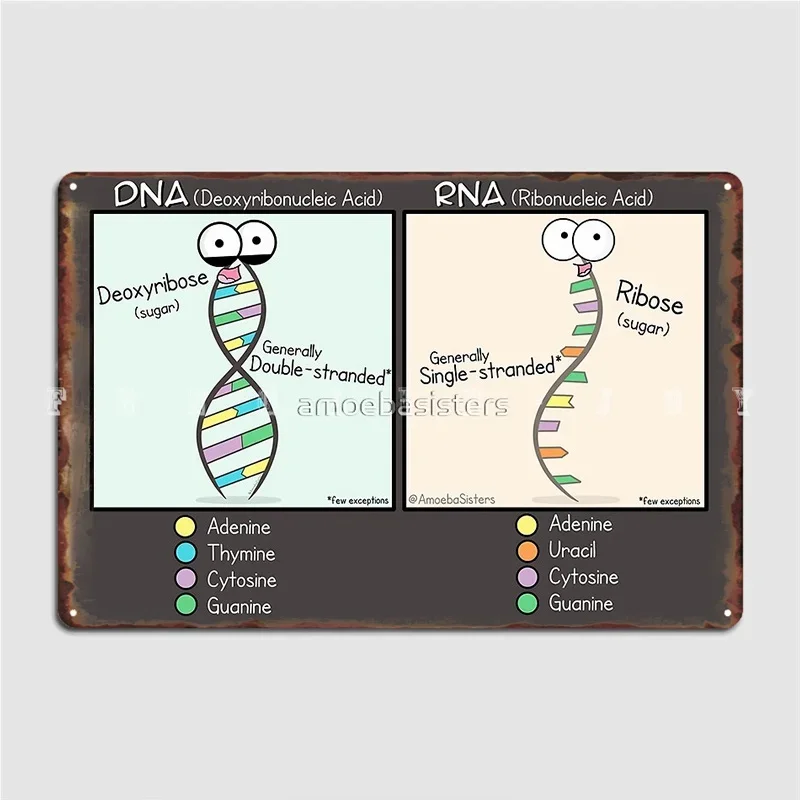 Dna Vs Rna Metal Si…