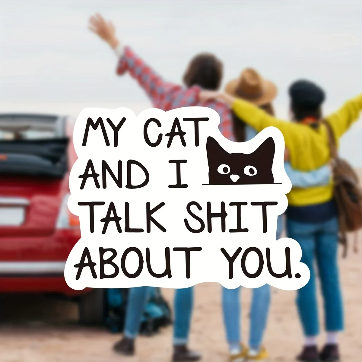 

Набор из 1/3/5 шт. наклеек «Мой кот мне сказал»: забавные кошачьи стикеры для декора автомобиля, ноутбука, окна, повседневные аксессуары