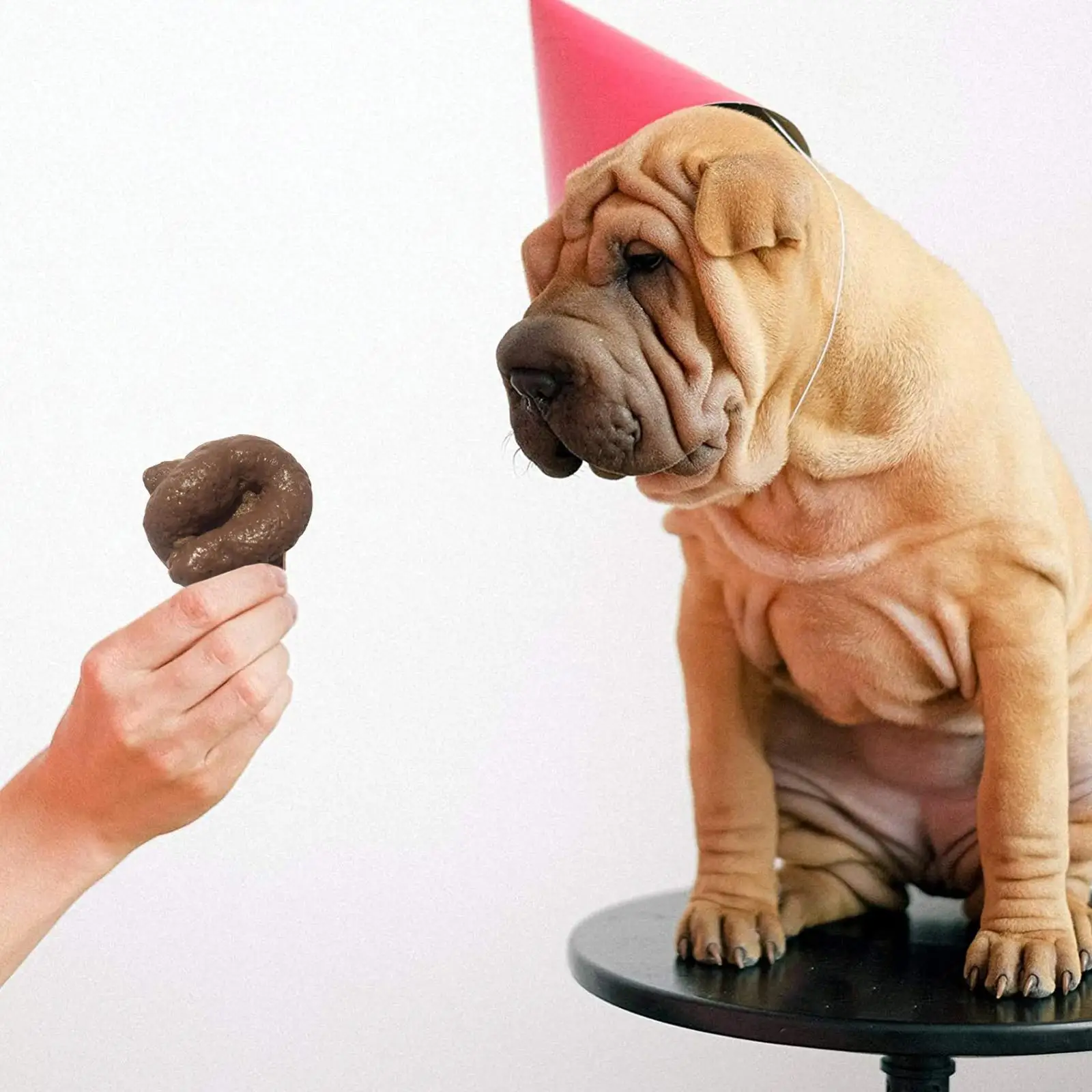 Mainan Kotoran Palsu Plastik L - Fake Poop Gag Gift ulasan dan harga