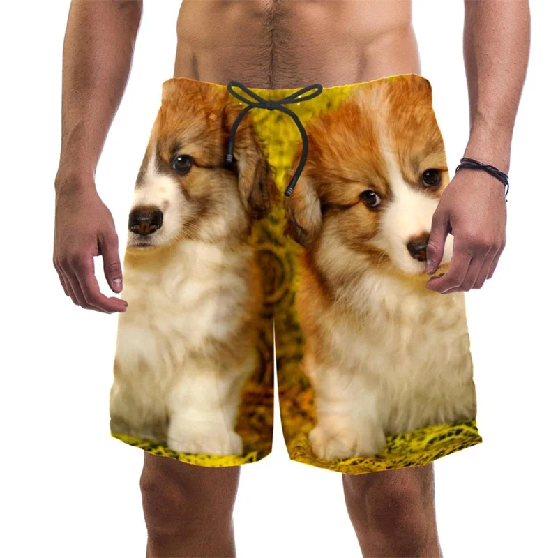 

Funny Corgi Dog Graphic Beach Shorts For Men 3d Printed Animal Pets Surfing Running Shorts Quick Dry Sports Swimming Shorts