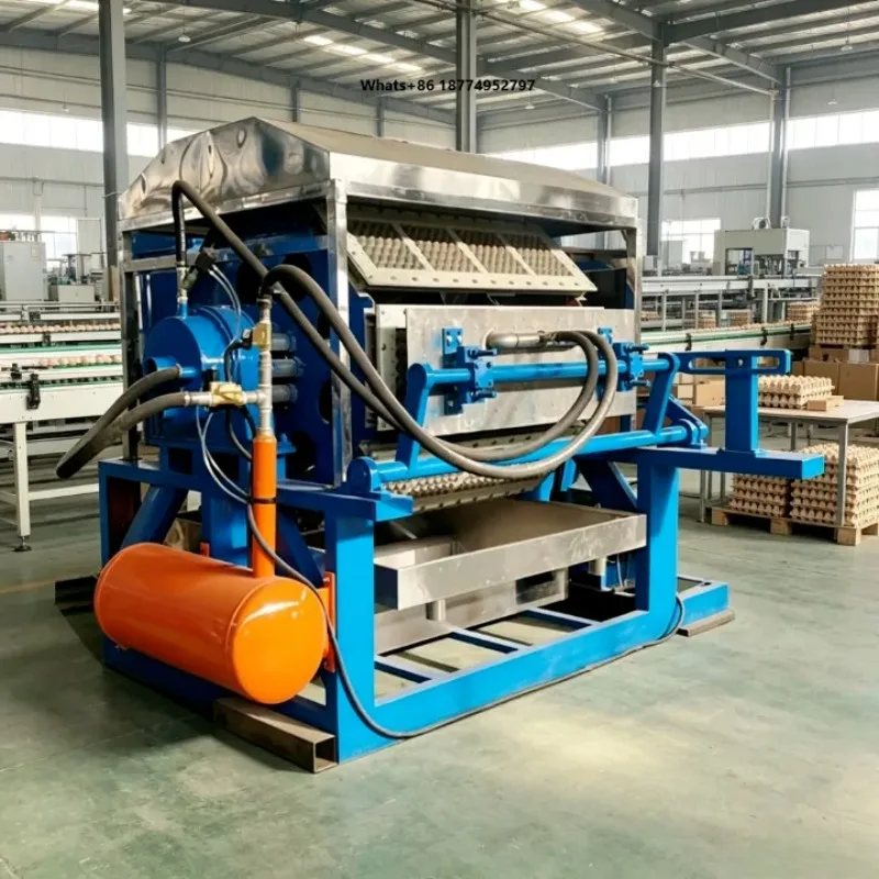 High Output Rotary Egg Tray Production Equipment for Large Poultry Farm