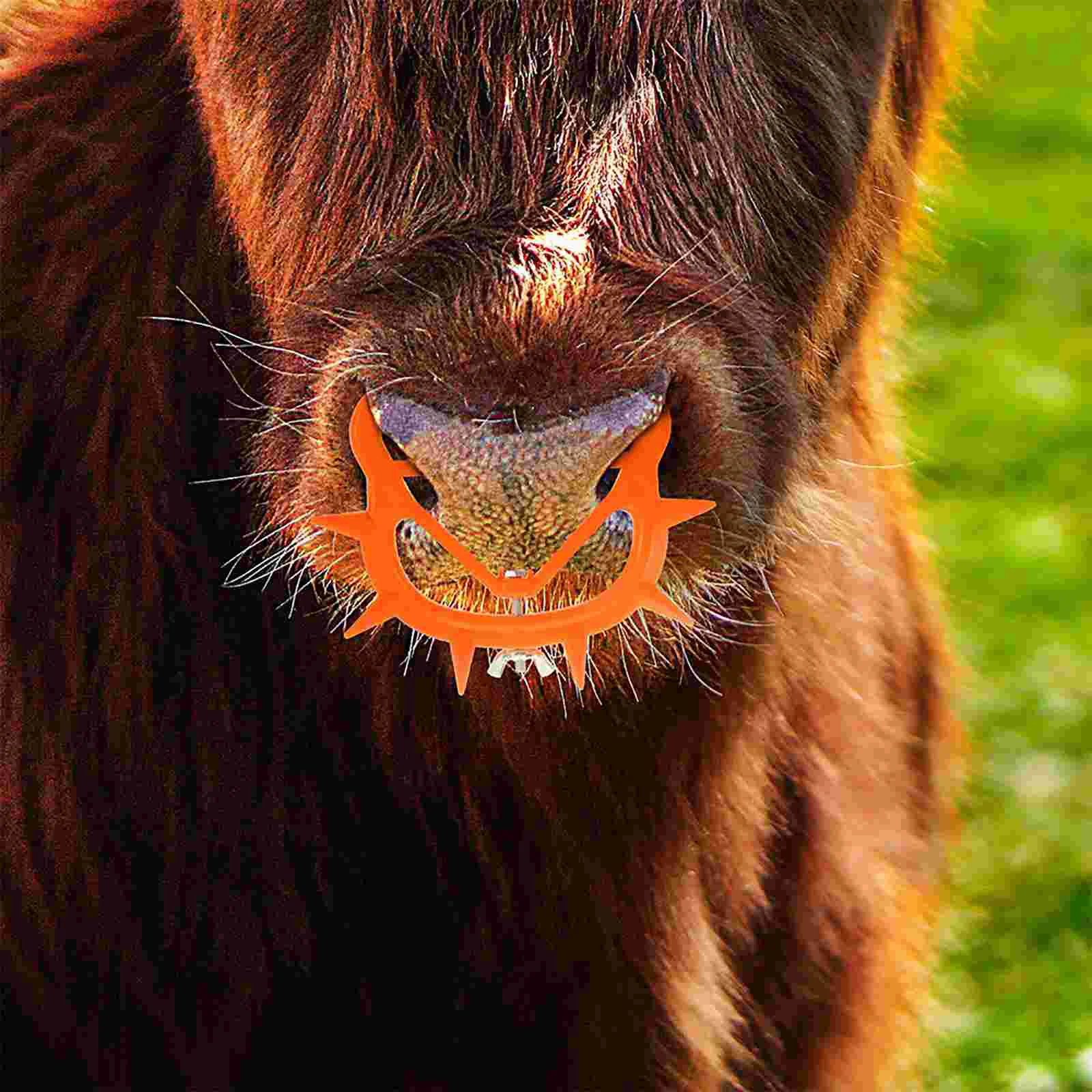 8 Pcs Bull Nose Ring Portable Calf Clip Tool Farm Livestock Cattle Thick Orange Cow Weaner