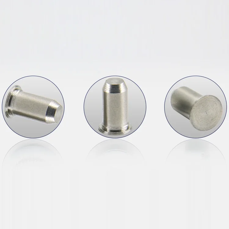 Rivetti in acciaio inossidabile Imperial Tps 304 che posano perni cilindrici con perno di guida con anello elastico