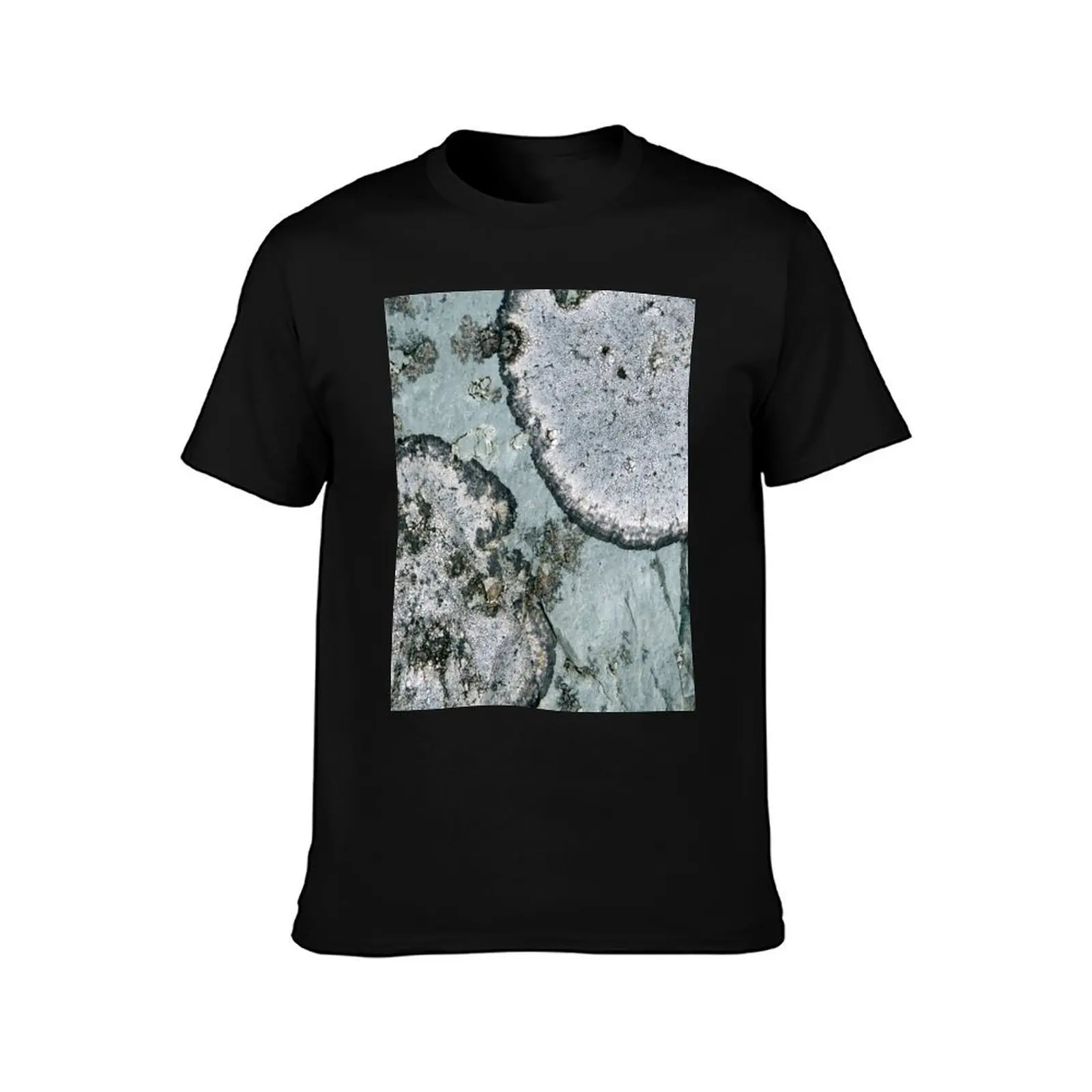 lichen T-Shirt High Quality Durable T-Shirt
