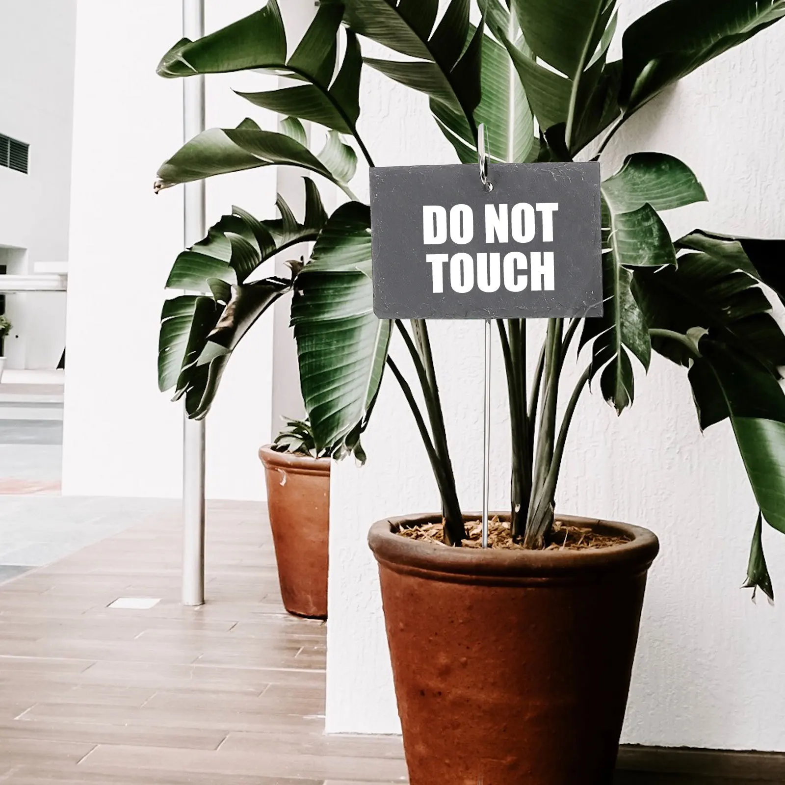 

1Set Garden Plant Labels Durable Decorative Gardening Supplies Plant Classification Signs Gardening Supplies